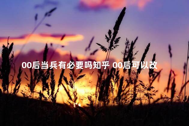 00后当兵有必要吗知乎 00后可以改变社会知乎